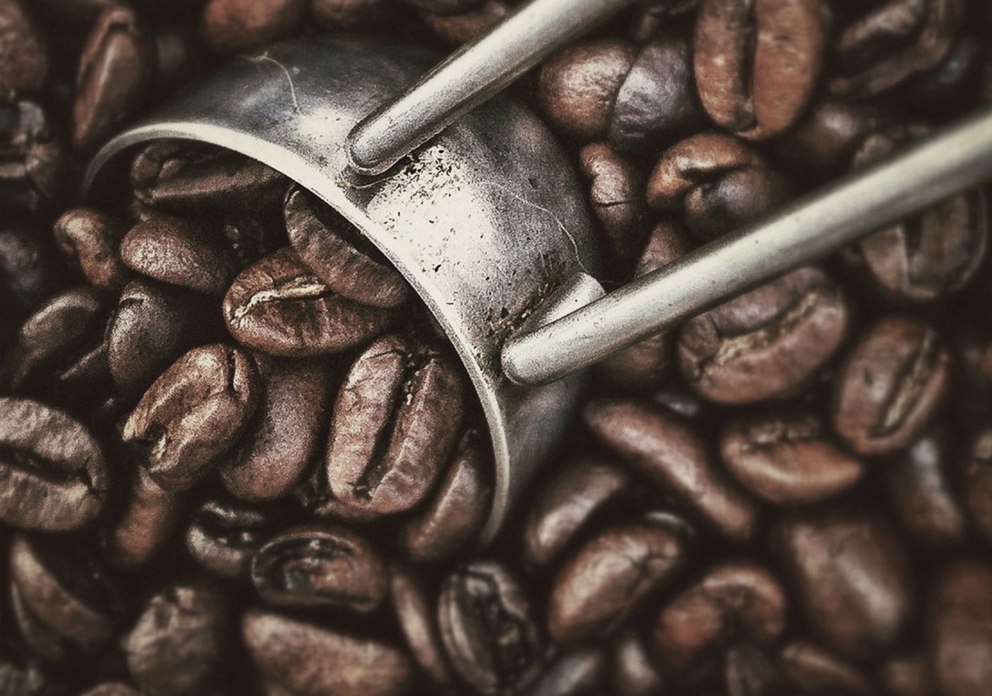 Coffee roasts guide